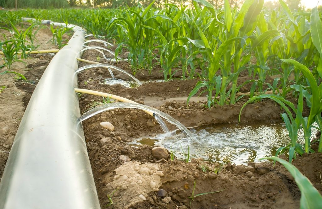 Field Irrigation Application